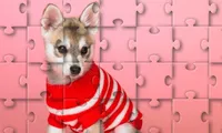 American Girl: Puppy Puzzle | NuMuKi