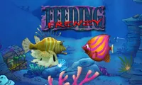 Feeding Frenzy | Play Online | NuMuKi