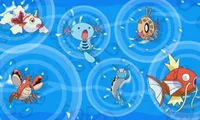 Pokemon: Magikarp's Ripple Reaction | NuMuKi