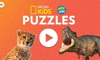 National Geographic Kids: Puzzles | NuMuKi
