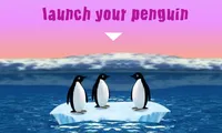Turbocharged Penguins | NuMuKi